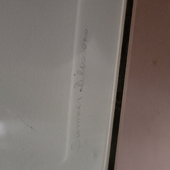 "Summer Blossoms" Framed Art by Michele Perdue - Picture 3 of 7